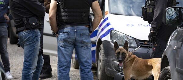 比利時非法移民衝突致幾人受傷 比利時非法移民衝突致幾人受傷 - 俄羅斯衛星通訊社