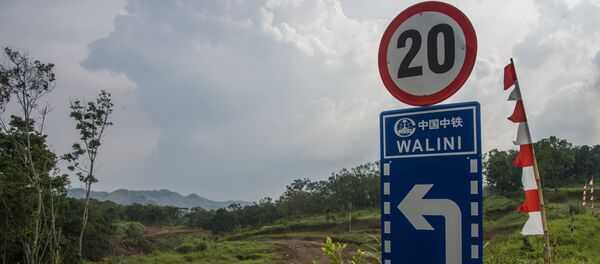 報告：中國已為發展南亞和中亞國家多領域項目出資1260億美元 - 俄羅斯衛星通訊社