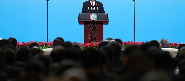 中非未来三年和今后一段时间将重要实施“八大行动” - 俄罗斯卫星通讯社