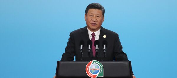 习近平 - 俄罗斯卫星通讯社