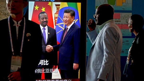 中国帮助非洲发展不会加剧非洲债务问题 - 俄罗斯卫星通讯社