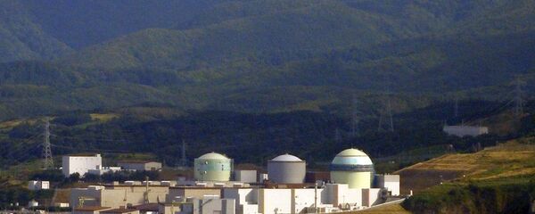 日本泊核能发电厂 - 俄罗斯卫星通讯社