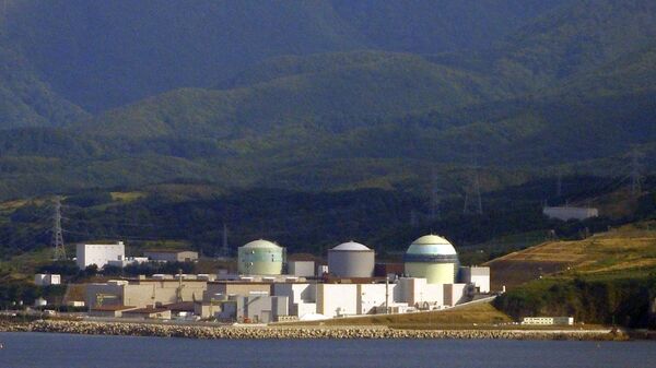日本泊核能發電廠 - 俄羅斯衛星通訊社