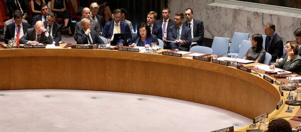 英常驻联合国代表:因索尔兹伯里中毒案新进展 英将审议扩大对俄制裁的问题 英常驻联合国代表:因索尔兹伯里中毒案新进展 英将审议扩大对俄制裁的问题 - 俄罗斯卫星通讯社