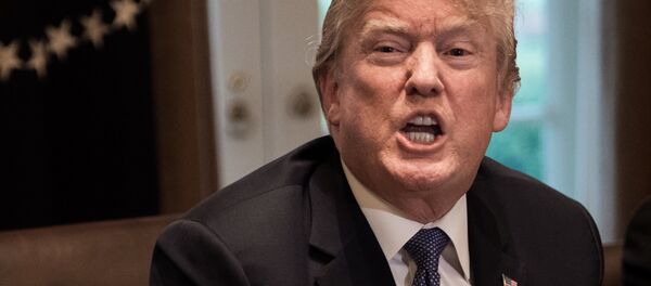 Президент США Дональд Трамп - 俄罗斯卫星通讯社