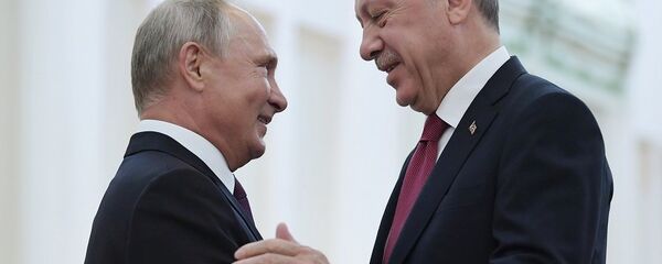 普京在俄土伊峰会开始前与埃尔多安举行会谈 普京在俄土伊峰会开始前与埃尔多安举行会谈 - 俄罗斯卫星通讯社