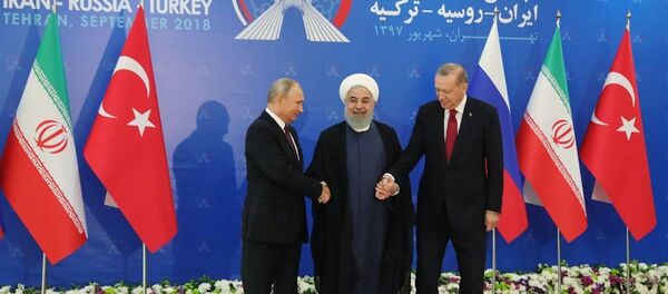 俄土伊领导人峰会 - 俄罗斯卫星通讯社