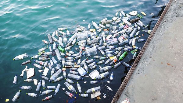 媒體：Ocean Cleanup公司推出在太平洋收集塑料垃圾的系統 - 俄羅斯衛星通訊社