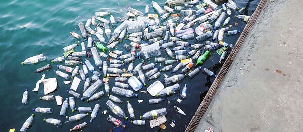 Пластиковые бутылки в воде набережной - 俄罗斯卫星通讯社