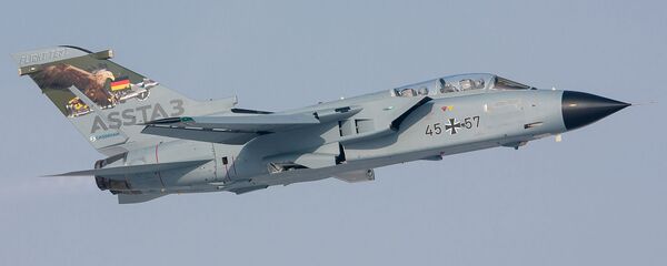 德国空军的PA200 Tornado - 俄罗斯卫星通讯社