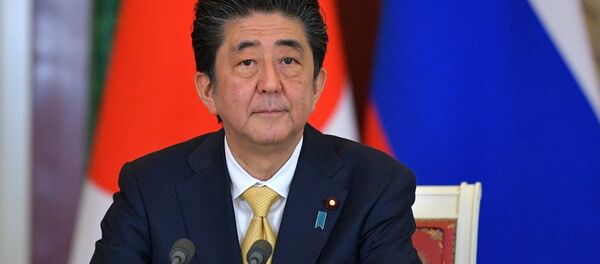 安倍晋三称日本在领土问题上的立场保持不变 - 俄罗斯卫星通讯社