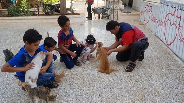 孩子們和流浪貓 - 俄羅斯衛星通訊社