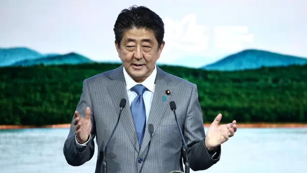 中國專家：日本同意不設前提簽署和平條約的條件尚未具備 - 俄羅斯衛星通訊社