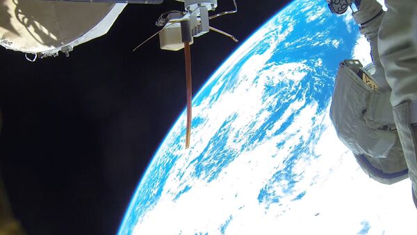专家：若空间站有人生病毫无疑问会将他送回地球 - 俄罗斯卫星通讯社