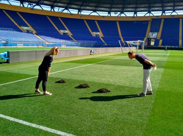 在哈尔科夫逮住了一只在体育场内挖洞的鼹鼠 - 俄罗斯卫星通讯社