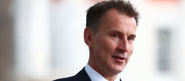 媒体：英国外交大臣呼吁与中国企业合作保持警惕 - 俄罗斯卫星通讯社