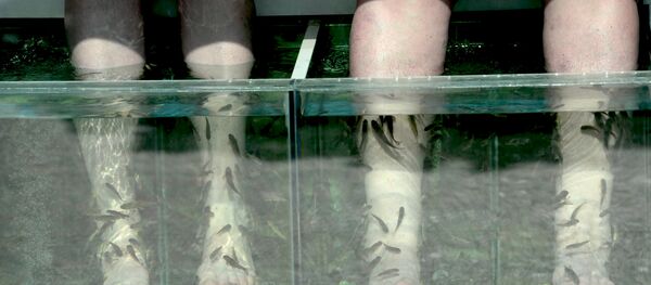 澳大利亚女孩泰国体验“鱼修脚” 结果惨失脚趾 - 俄罗斯卫星通讯社