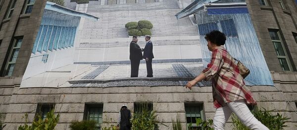 朝韩第三次峰会：不解除制裁很难有什么成效 - 俄罗斯卫星通讯社