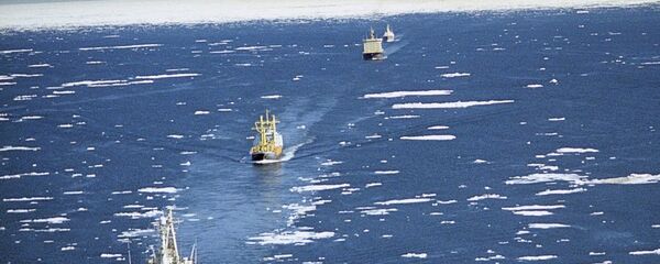 俄罗斯将允许外国船只首次通过北方海路 - 俄罗斯卫星通讯社