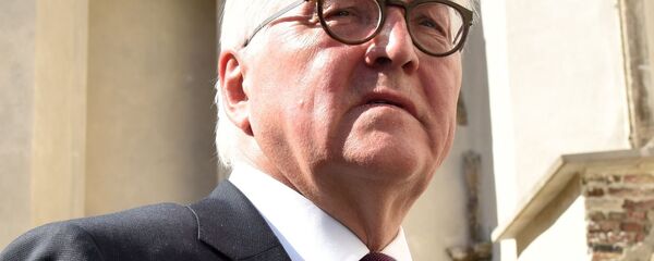 施泰因迈尔 - 俄罗斯卫星通讯社