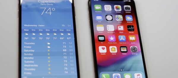 苹果公司提醒投资者苹果手机销售放缓 - 俄罗斯卫星通讯社