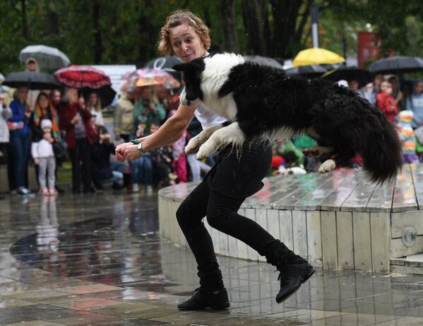 “红普列斯尼亚”公园举行狗狗游行 - 俄罗斯卫星通讯社