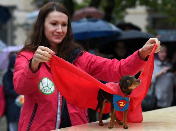 “紅普列斯尼亞”公園舉行狗狗遊行 - 俄羅斯衛星通訊社