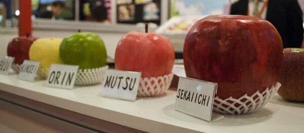 莫斯科食品展开幕    250多家中企参展 - 俄罗斯卫星通讯社