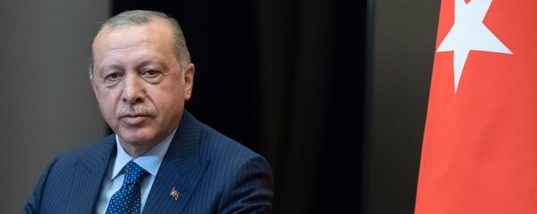 埃尔多安与普京会晤 - 俄罗斯卫星通讯社