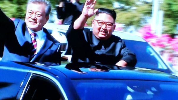 朝韩领导人同乘一辆车抵达百花园国宾馆 - 俄罗斯卫星通讯社