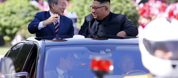 金正恩贈予文在寅2只豐山犬 - 俄羅斯衛星通訊社