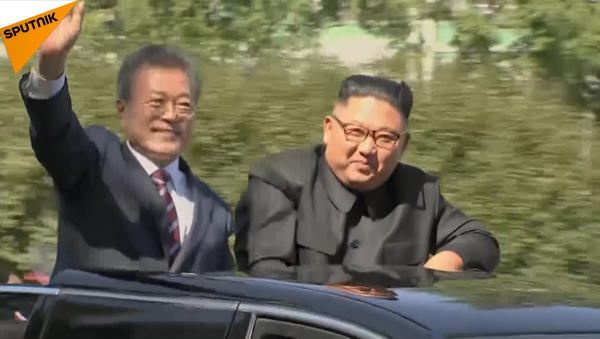 朝韓最高領導人同車巡視平壤 - 俄羅斯衛星通訊社