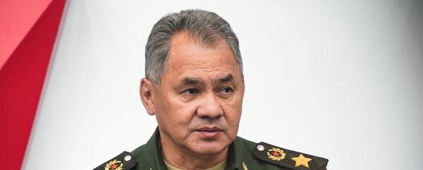 绍伊古 - 俄罗斯卫星通讯社