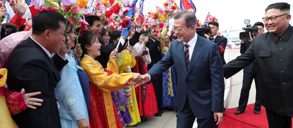 朝鮮與美韓關係緩和是2018年朝鮮問題上取得的重大成果 - 俄羅斯衛星通訊社