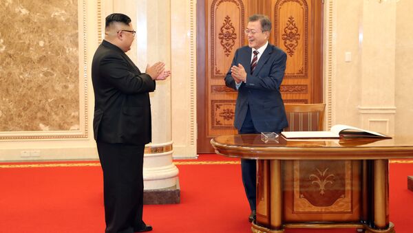 朝韩领导人是获得诺贝尔和平奖热门 - 俄罗斯卫星通讯社