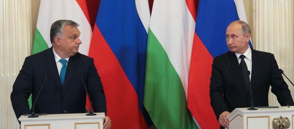 普京 - 俄羅斯衛星通訊社