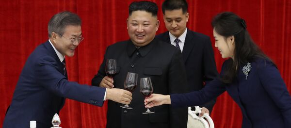 朝鲜领导人金正恩用鱼翅汤和桔梗招待韩国总统文在寅 - 俄罗斯卫星通讯社