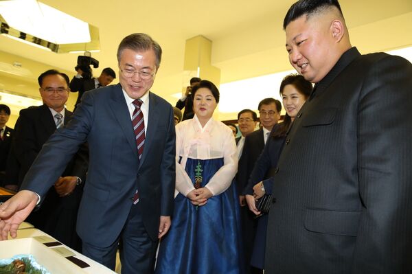 朝鲜领导人金正恩用鱼翅汤和桔梗招待韩国总统文在寅 - 俄罗斯卫星通讯社