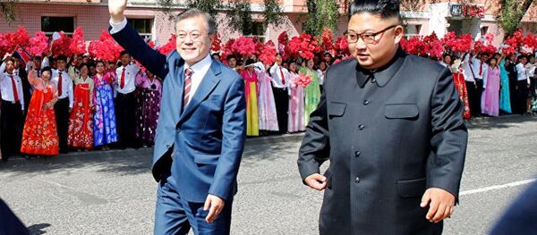 朝韓領導人商定週四攀登位於中朝邊境的聖山長白山 - 俄羅斯衛星通訊社