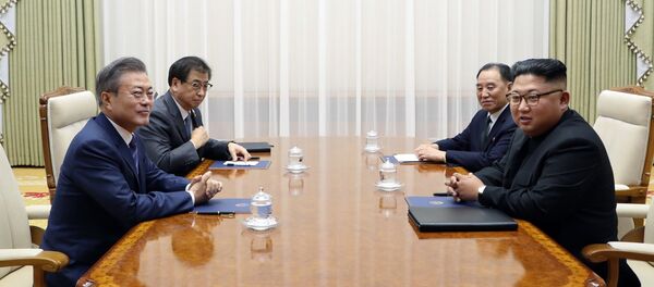 韓國總統府代表稱，朝韓領導人實際上已宣佈結束戰爭狀態 - 俄羅斯衛星通訊社