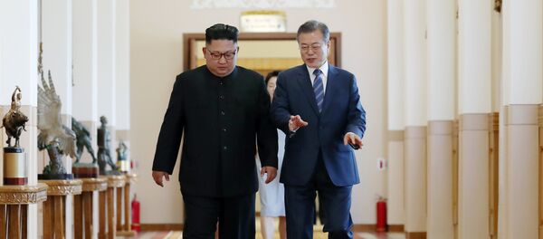 韩国专家：为什么应当说服金正恩去华盛顿？ - 俄罗斯卫星通讯社