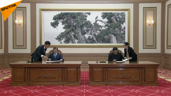 金正恩和文在寅在平壤举行的第三次会晤后签署了联合声明 - 俄罗斯卫星通讯社
