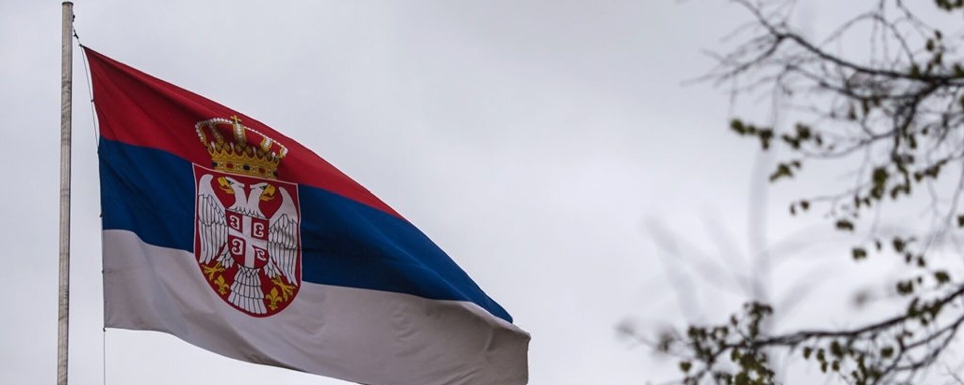 塞爾維亞總統：塞爾維亞不同於北約鄰國成員 只購買防禦性武器 - 俄羅斯衛星通訊社, 1920, 13.01.2022