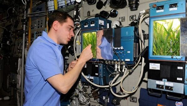 俄宇航员将出舱活动 安装带有俄罗斯土壤的容器 - 俄罗斯卫星通讯社
