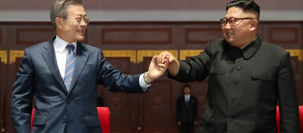 朝韩《9月平壤共同宣言》标志着冷战最后一块活化石的彻底消融 - 俄罗斯卫星通讯社