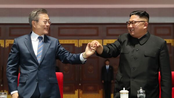 韓國總統稱6月未籌備朝韓峰會 但也未取消 - 俄羅斯衛星通訊社