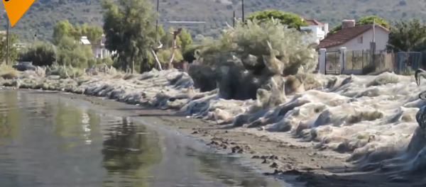 希腊惊现300米长巨型蜘蛛网 - 俄罗斯卫星通讯社