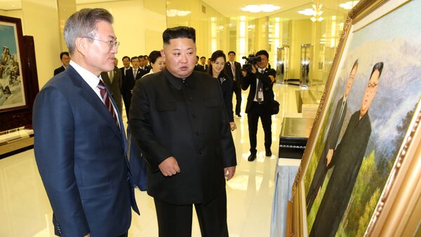 專家：韓國將與中俄爭奪朝鮮礦產開採和設施運營權 - 俄羅斯衛星通訊社