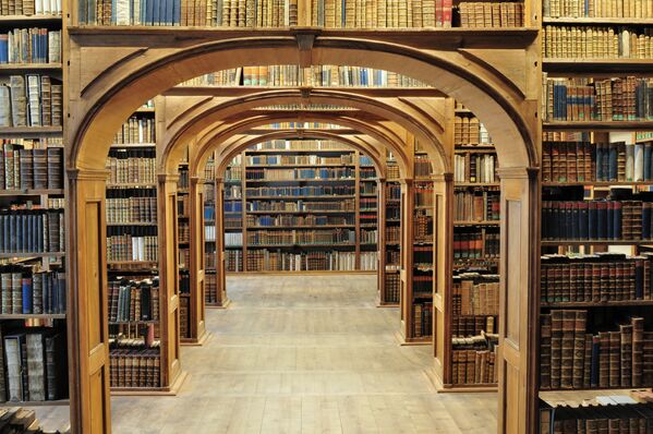 世界上最美丽的12座图书馆 - 俄罗斯卫星通讯社