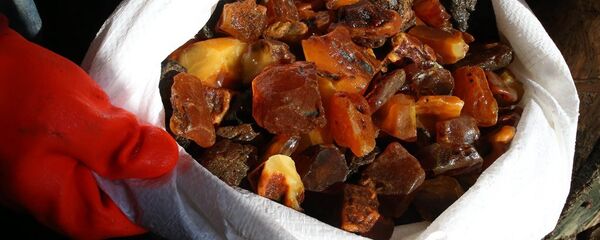 俄加里寧格勒開採到一塊重達1.8公斤的琥珀原石 俄加里寧格勒開採到一塊重達1.8公斤的琥珀原石 - 俄羅斯衛星通訊社